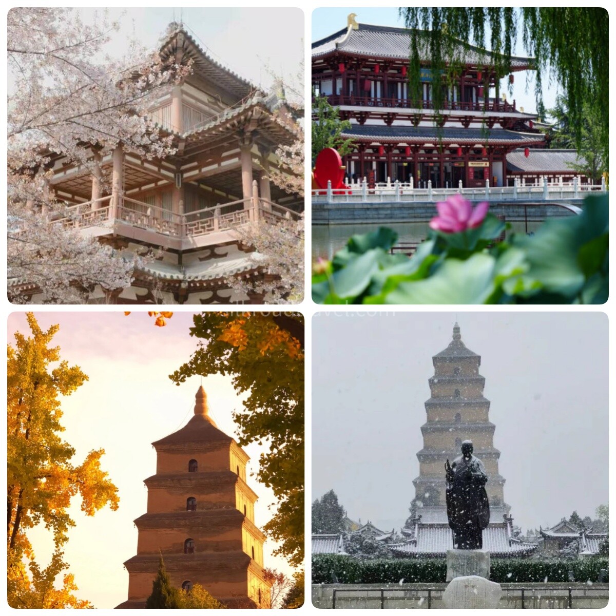 xi'an.jpg xi'an.jpg
